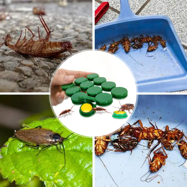 Capcanǎ Pentru Gândaci